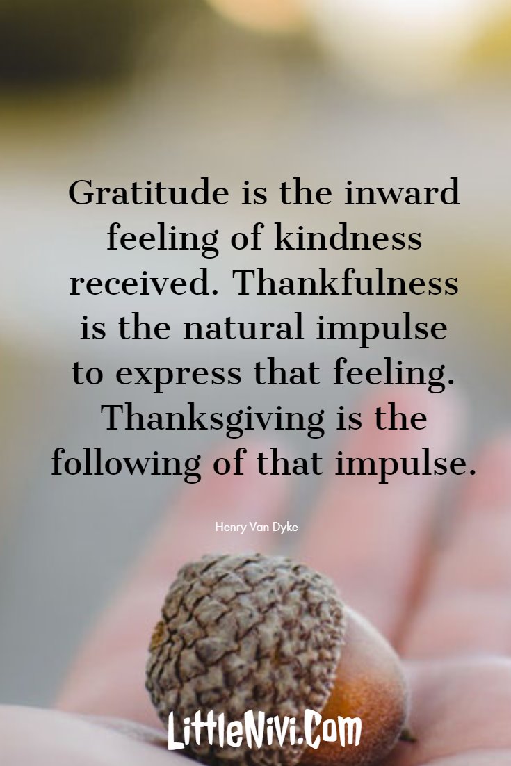 27 Inspiring Thanksgiving Quotes with Happy Images 17