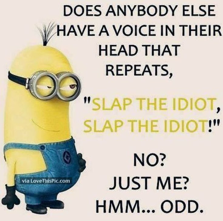 55 Funny Minion Quotes You Need to Read - LittleNivi.Com.