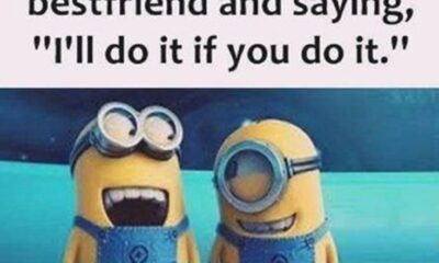 45 Funny Quotes Laughing So Hard and Hilarious Memes 42