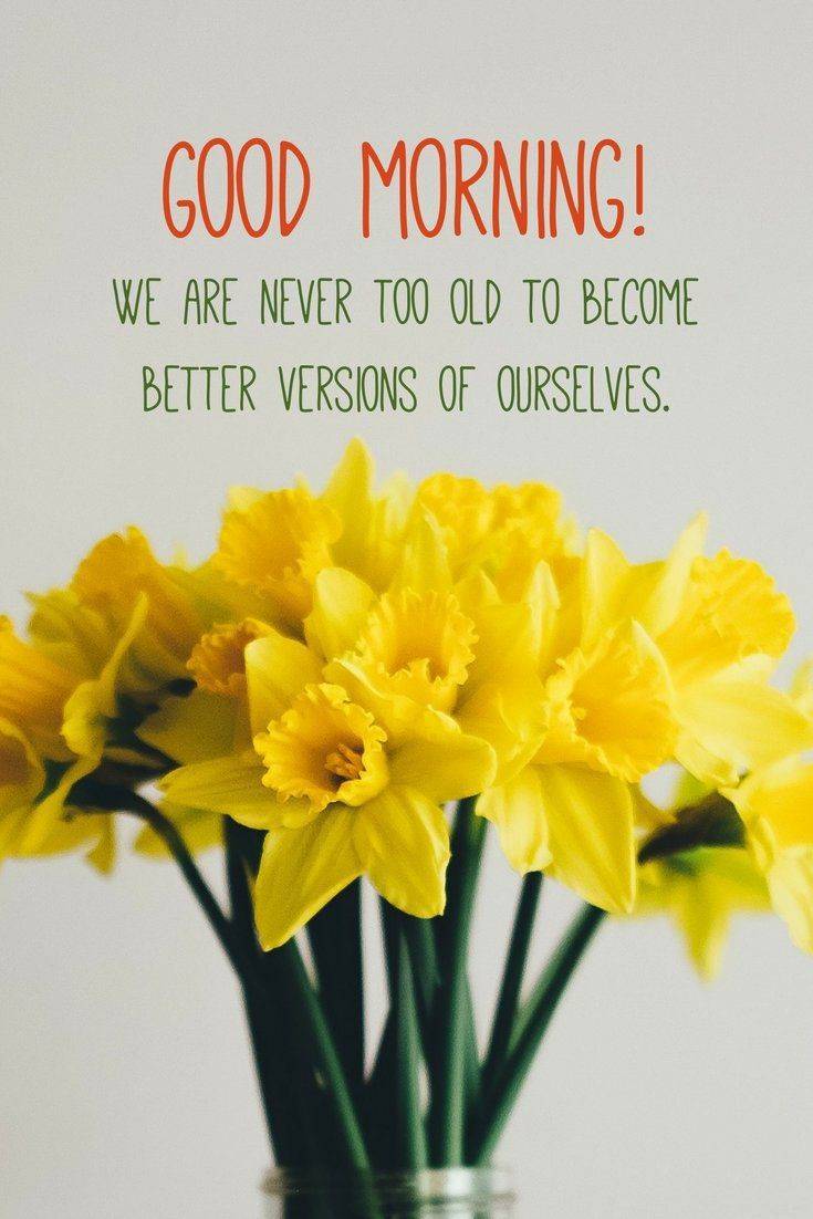 35 Amazing Good Morning Quotes and Wishes with Beautiful Images 21