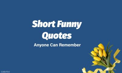 short funny quotes anyone can remember