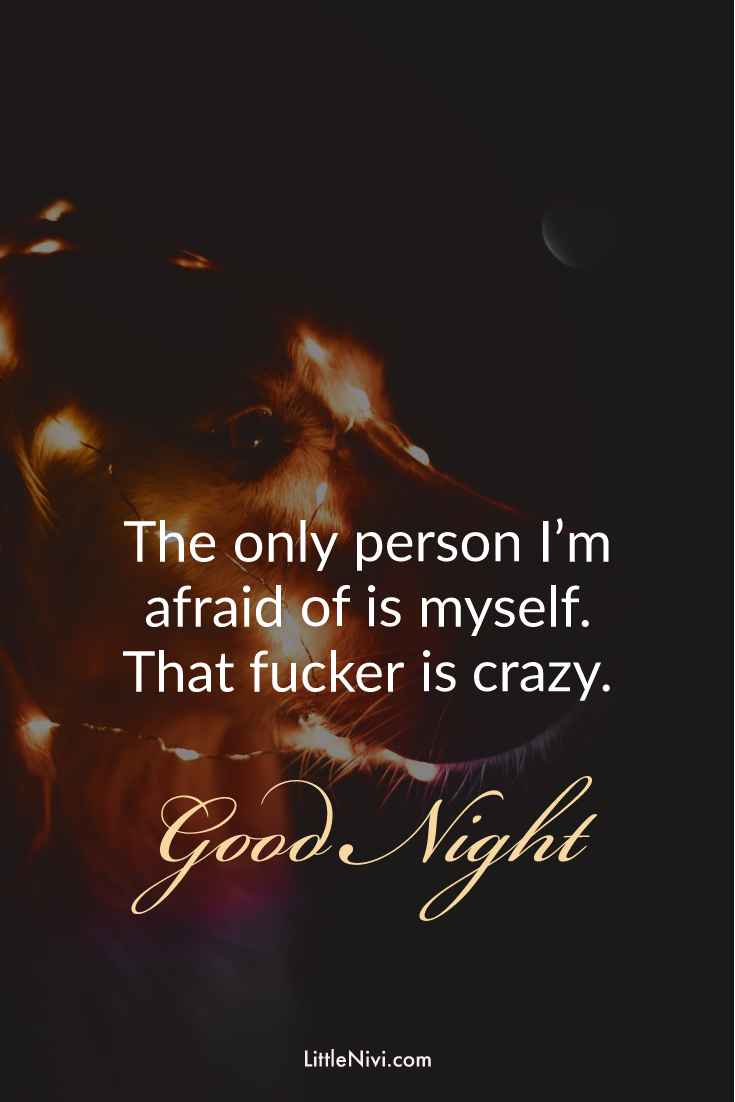 30 Amazing Good Night Quotes and Wishes with Beautiful Images 23