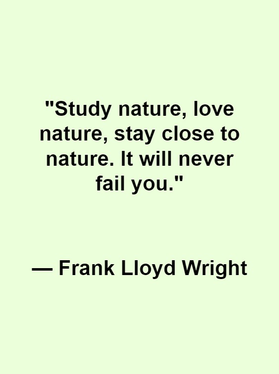 best nature quotes that capture the beauty