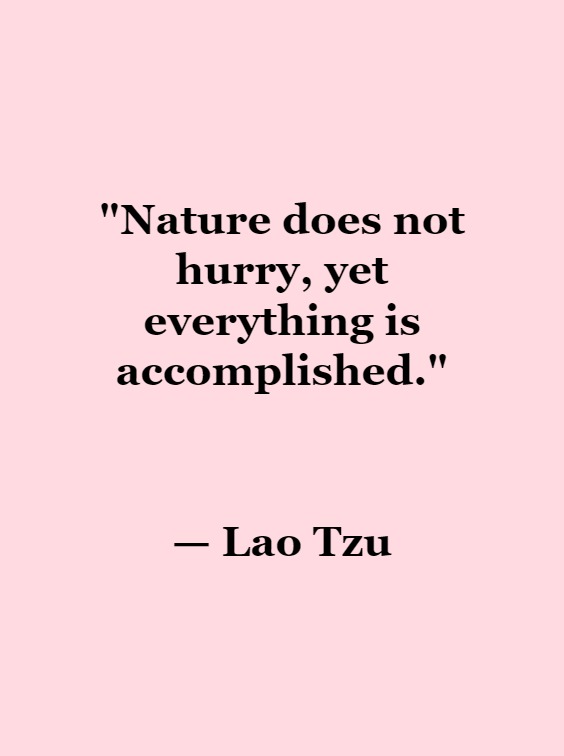 greatest quotes on nature and life