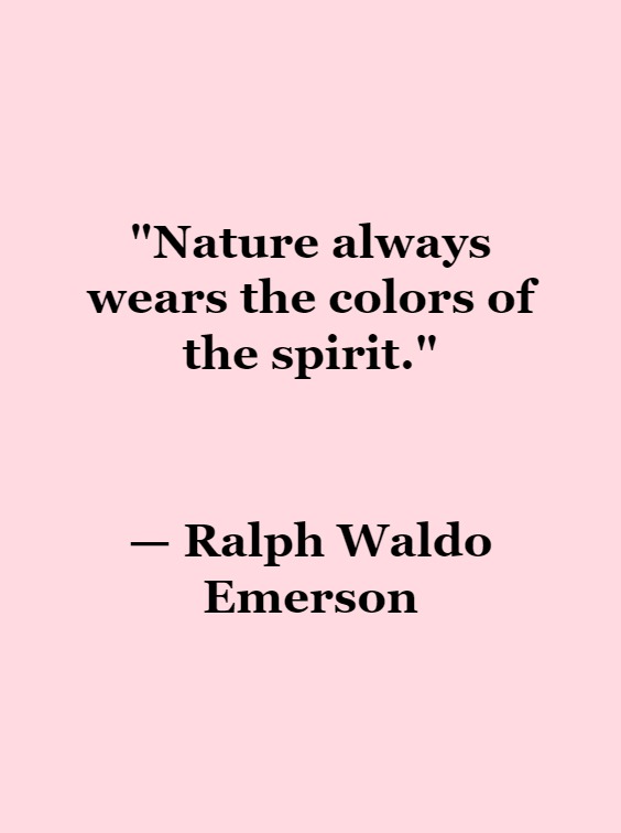short nature quotes