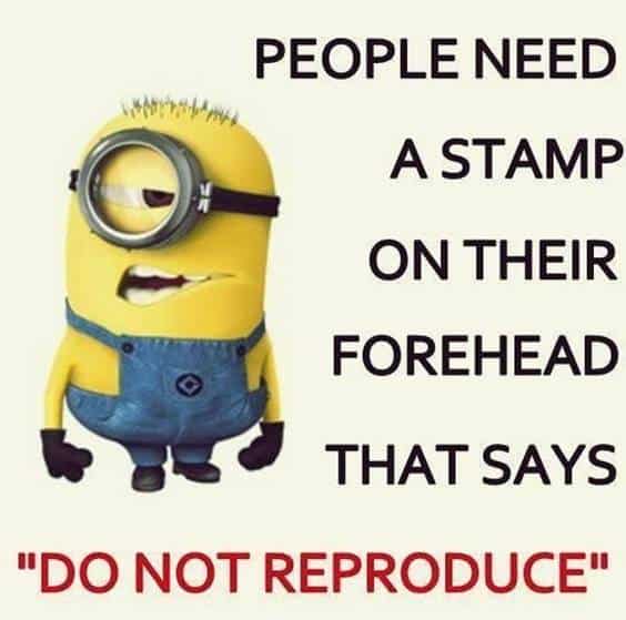 42 Funny Jokes Minions Quotes With Images Funny Text Messages fun text messages minions quotes images