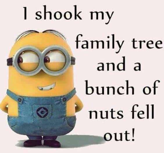 42 Funny Jokes Minions Quotes With Images Funny Text Messages 47