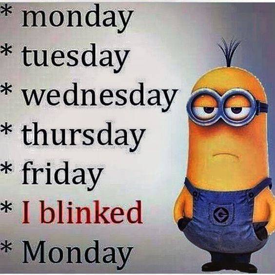 42 Funny Jokes Minions Quotes With Images Funny Text Messages minions funny sayings funny random text messages