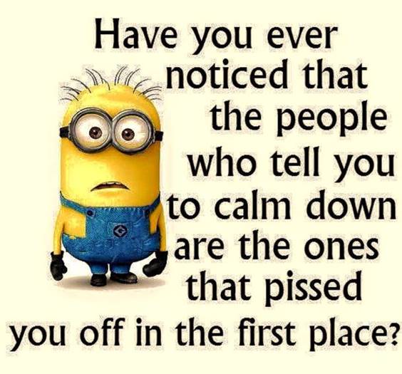 40 Fun Minion Quotes Of The Week 1