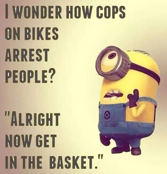 40 Fun Minion Quotes Of The Week minion quotes about life
