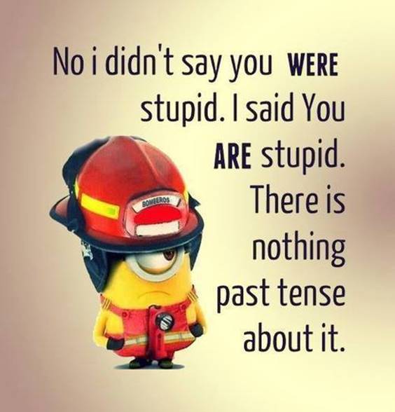 40 Fun Minion Quotes Of The Week 4