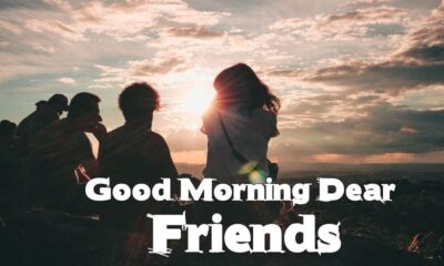 Good Morning Messages for Friends Morning Wishes With Images
