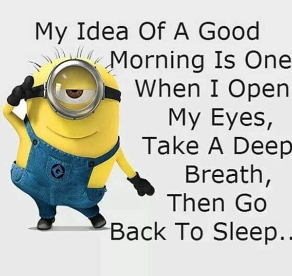 97 Good Morning Memes and Good Morning Quotes With Images 16