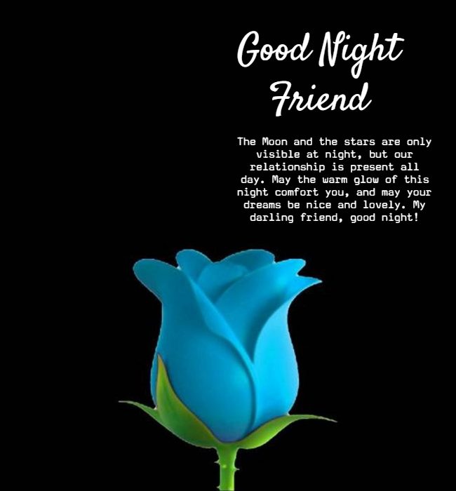 good night quotes on friendship