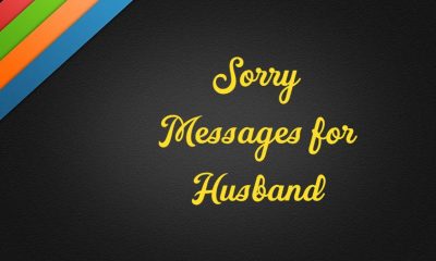 What To Write I Am Sorry Messages for Husband