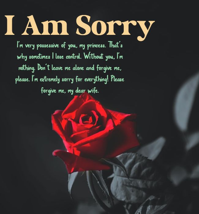 Sorry quotes to wife