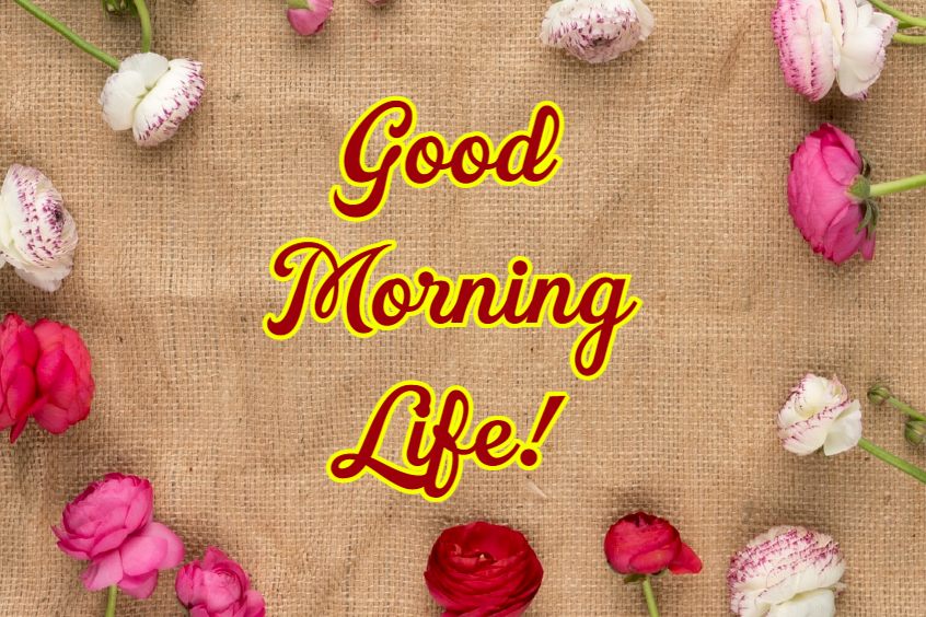 Beautiful Good Morning Life Images Quotes Wishes Messages