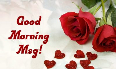 Good Morning Msg With Pictures Images And Positive Good Morning Quotes