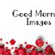 New Good Morning Images With Quotes Pictures And Positive Words