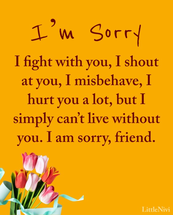 Sincere Sorry Messages for Friends