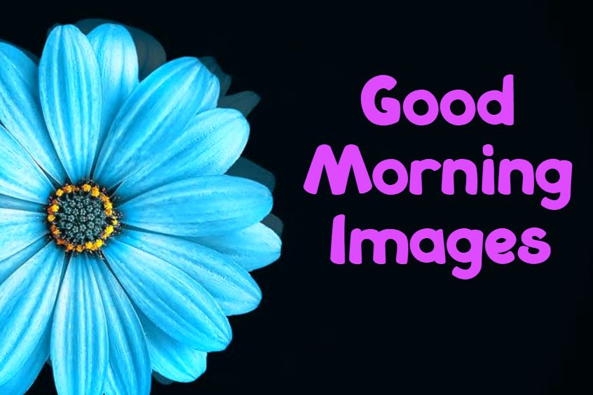Special Good Morning Images With Pictures Quotes Wishes Messages