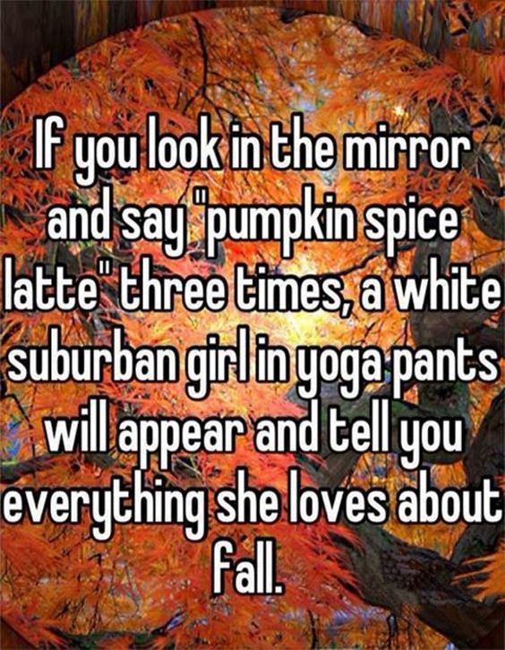 funny pumpkin spice memes Pumpkin Spice Memes Images And Pun Quotes
