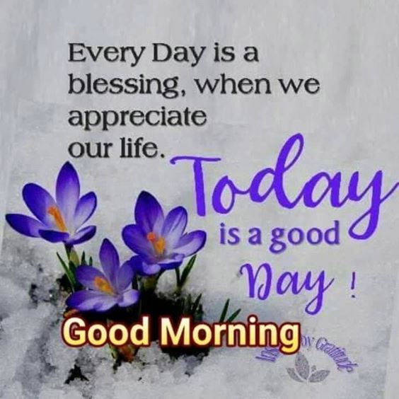 good morning everyone images Special Good Morning Images With Pictures Quotes Wishes Messages
