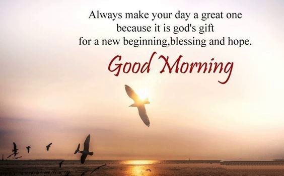 good morning flowers images Special Good Morning Images With Pictures Quotes Wishes Messages