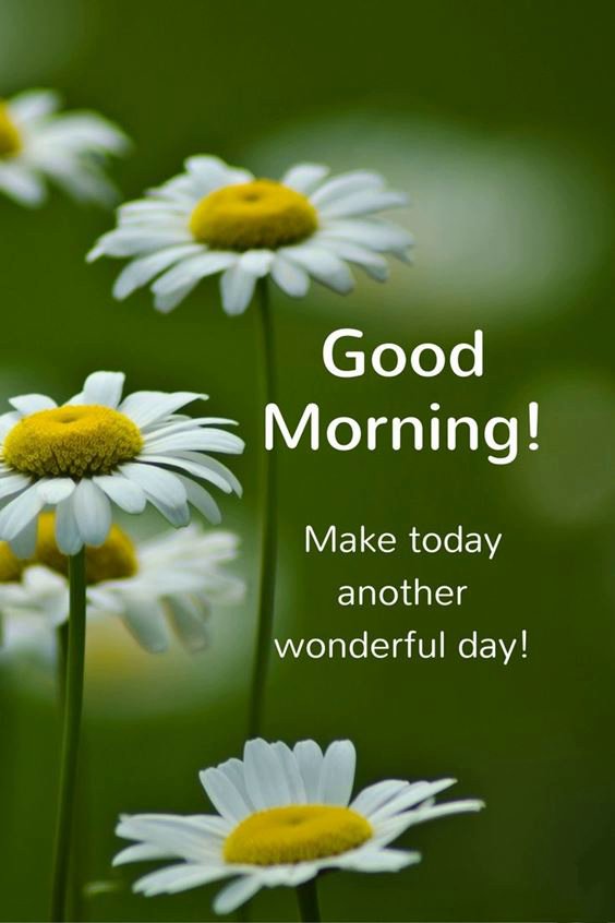 good morning thoughts Beautiful Good Morning Life Images Quotes Wishes Messages
