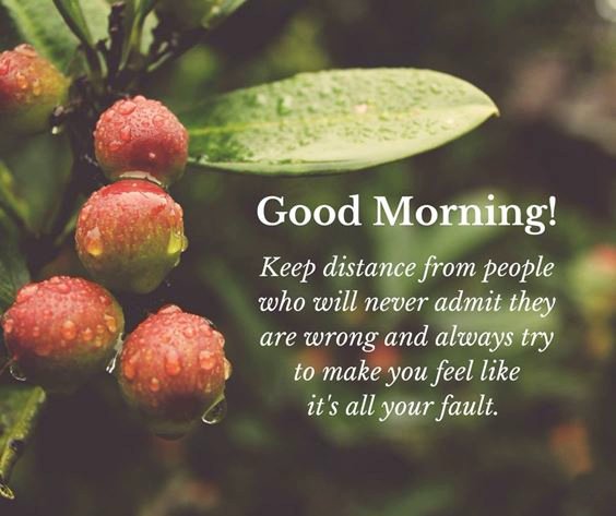 phrases for morning Beautiful Good Morning Life Images Quotes Wishes Messages