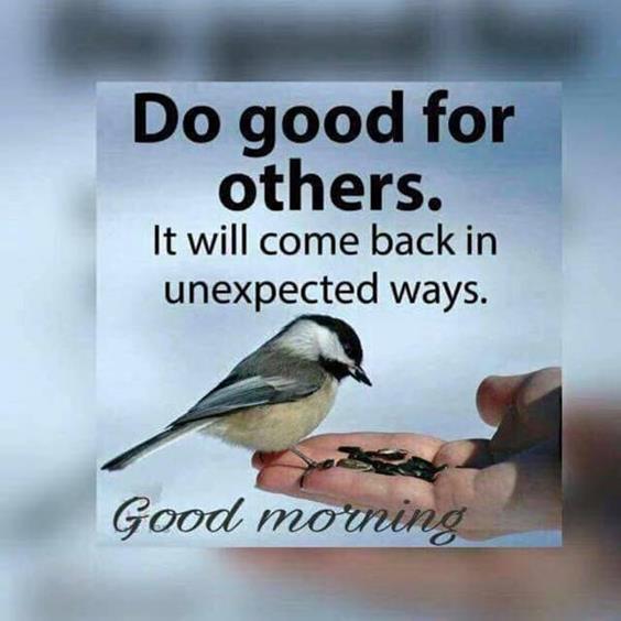 picture of good morning wishes Amazing Good Morning Images With Pictures Quotes Wishes Messages