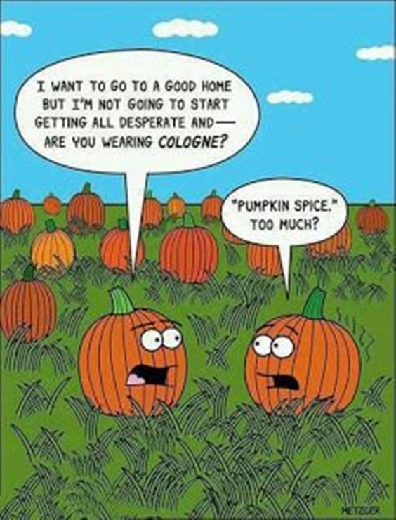 pun pumpkin meme funny Pumpkin Spice Memes Images And Pun Quotes