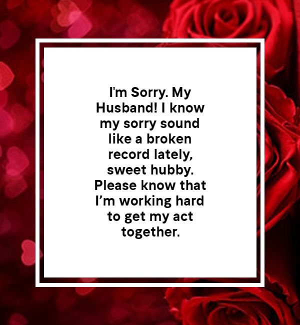sorry msg for husband