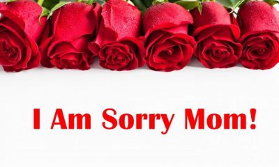Sorry Mom – Apology Quotes To Help You Find The Right Messages For Mother