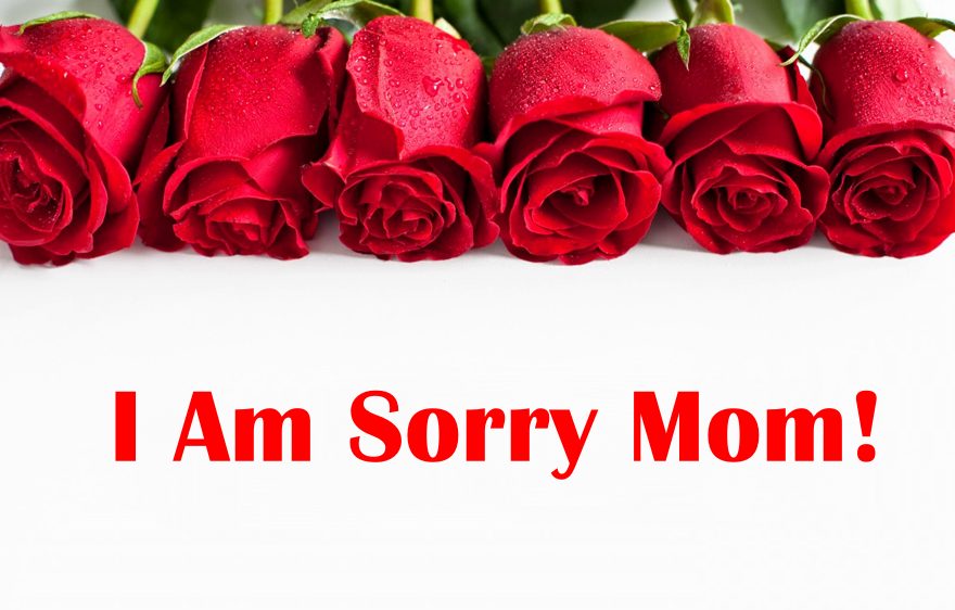 Sorry Mom – Apology Quotes To Help You Find The Right Messages For Mother