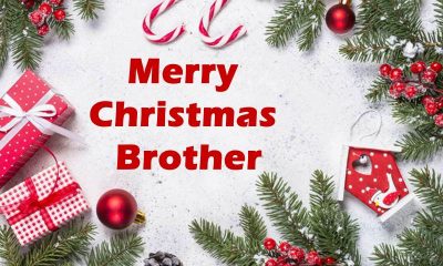 Merry Christmas Wishes For Brother Merry Christmas Brother