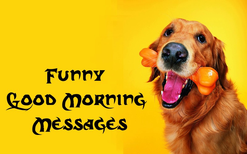 Cuttest Funny Good Morning Messages Best Humorous Funny Images To Make Her Laugh