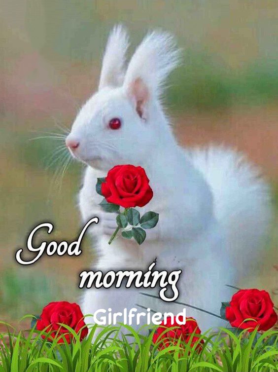 good morning for girlfriend | sweet good morning messages for my girlfriend, cute good morning text messages for girlfriend, good morning romantic love messages for girlfriend