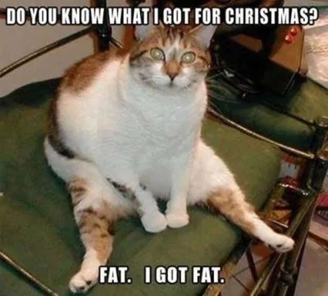Cool Christmas Meme Fat Funniest Merry Christmas Memes With Hilarious Christmas Images