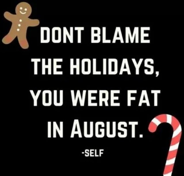 Funny Christmas Diet Quotes Funniest Merry Christmas Memes With Hilarious Christmas Images