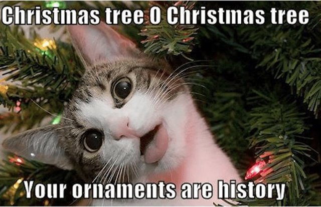 christmas tree o christmas tree your ornaments are history funny merry memes Funniest Merry Christmas Memes With Hilarious Christmas Images