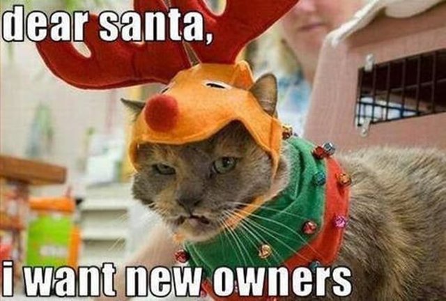 dear santa christmas meme Funniest Merry Christmas Memes With Hilarious Christmas Images