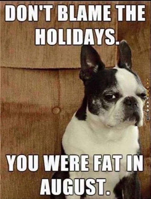 dont blame the holidays you were fat in august funny merry christmas memes Funniest Merry Christmas Memes With Hilarious Christmas Images