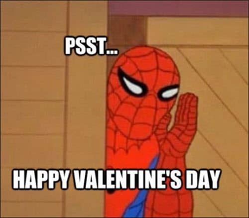 funny happy valentines day memes for sarcastic