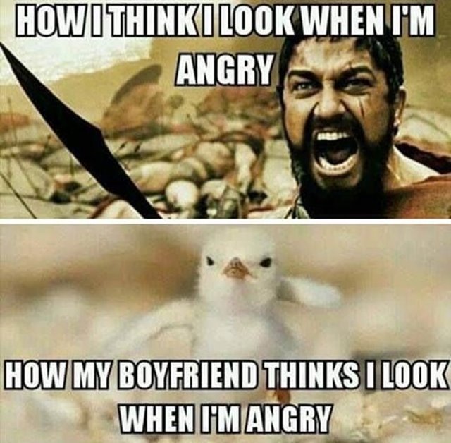 how i think angry memes