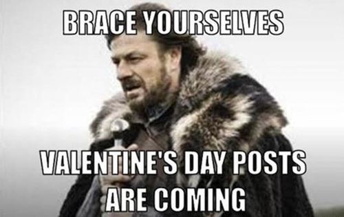 sarcastic valentine days meme Funny Valentines Day Memes Quotes and Sayings