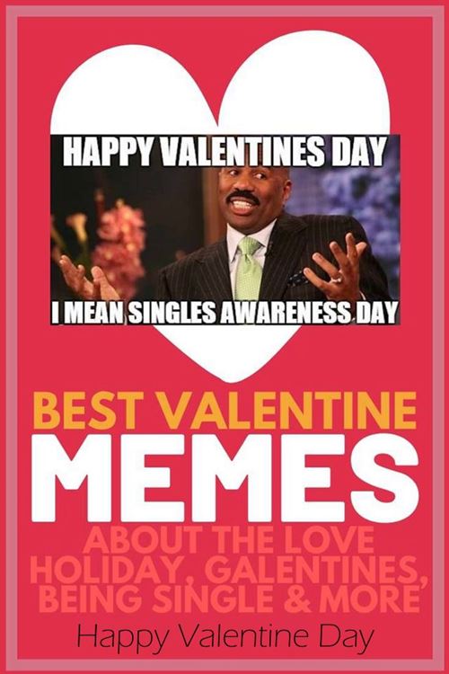 sarcastic valentine days meme for singles Funny Valentines Day Memes Quotes and Sayings