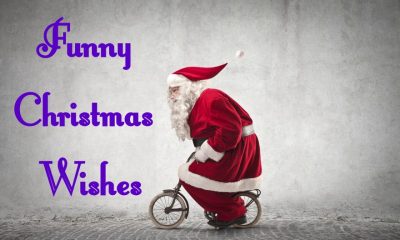 Funny Christmas Wishes Merry Christmas Messages and Quotes