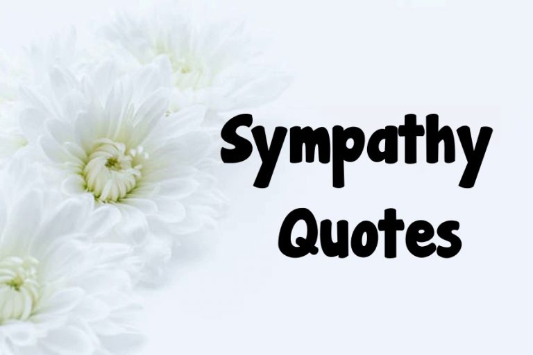 200 Sympathy Quotes What to Write in a Sympathy Messages