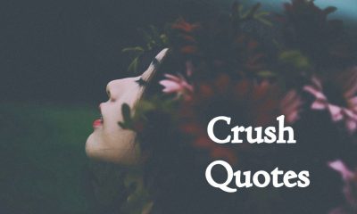 Best Crush Quotes to Help You Express Your Feelings